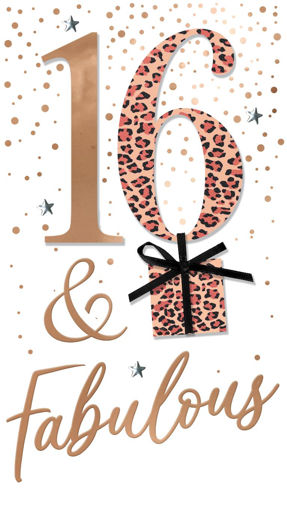 Picture of 16TH BIRTHDAY CARD